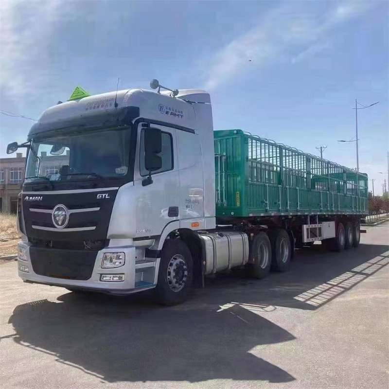 凉山州乌鲁木齐市进仓物流：多元专线直达运输探索