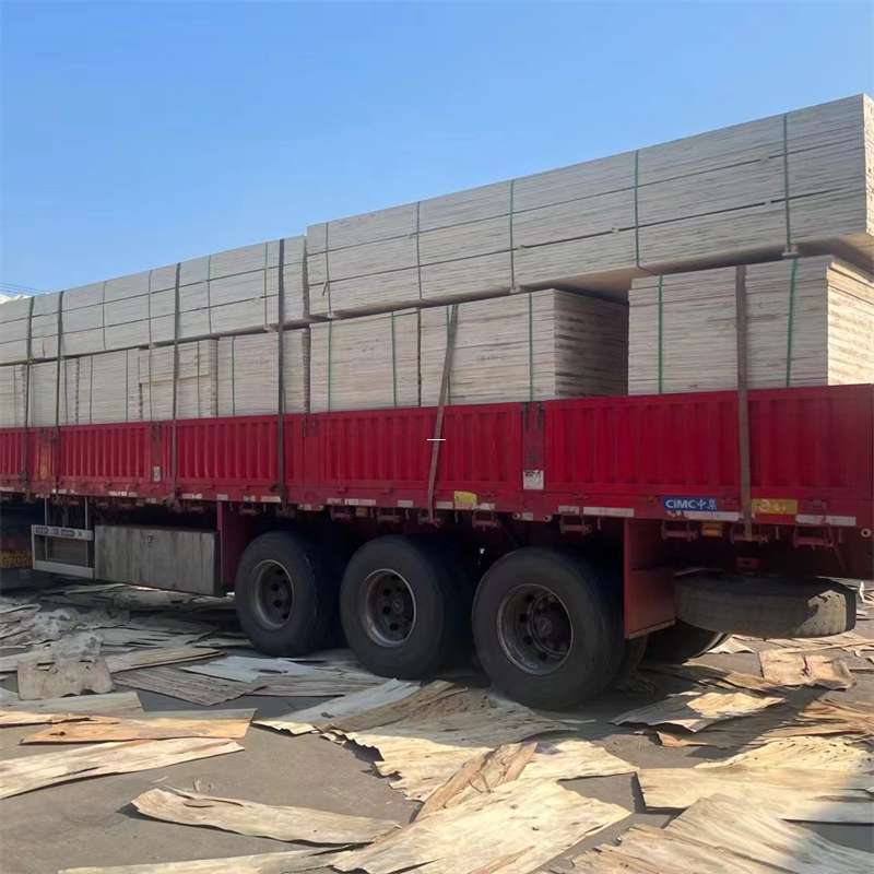 凉山州探寻会东县进仓物流的多元运输奥秘